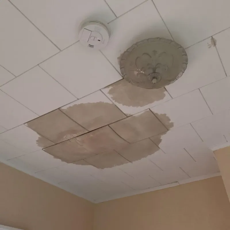 Ceiling Water Damage Repair in Spotsylvania Courthouse, VA