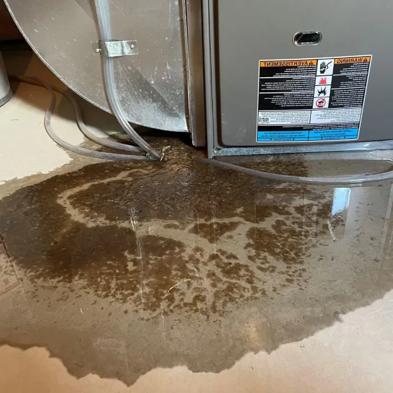 Pipe Burst and Leak Restoration in Spotsylvania Courthouse, VA
