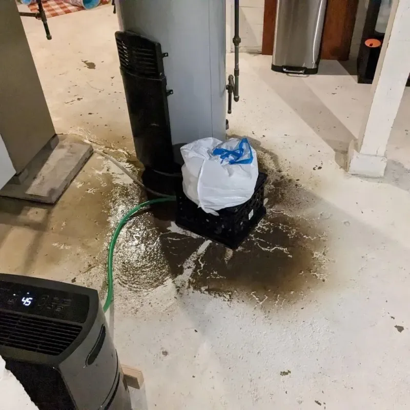 Sewage Backup Cleanup Service in Spotsylvania Courthouse, VA